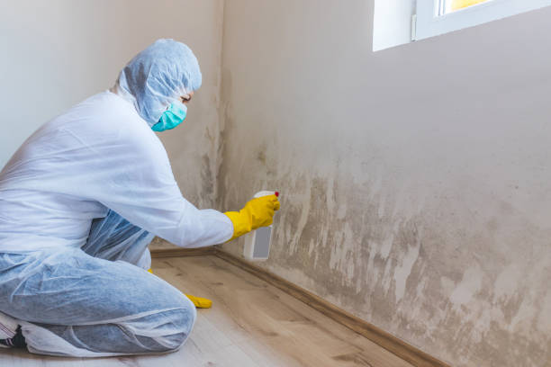 Commercial Mold Remediation assessment for commercial property in Anna